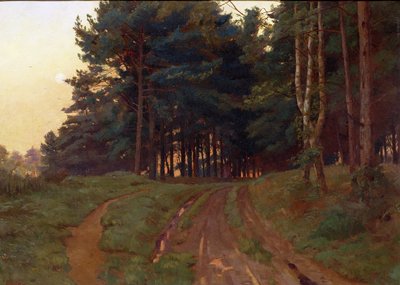 ادعى الصمت عهدها المسائي ، 1888 بواسطة Ernest Arthur Rowe