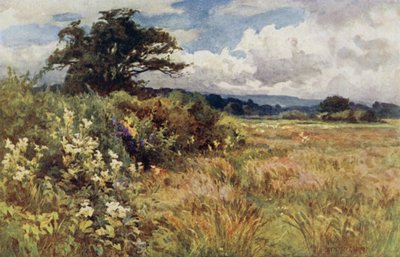 أرض مرتفعة بواسطة إرنست بينجر أو بيرنجر