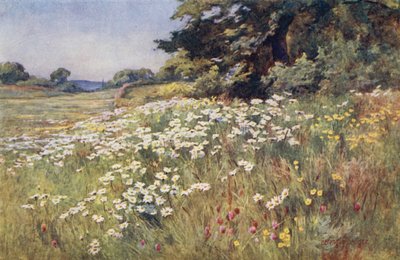 صن شاين في ميدولاند بواسطة إرنست بينجر أو بيرنجر