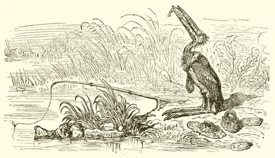 الصياد والأسماك الصغيرة بواسطة Ernest Henry Griset