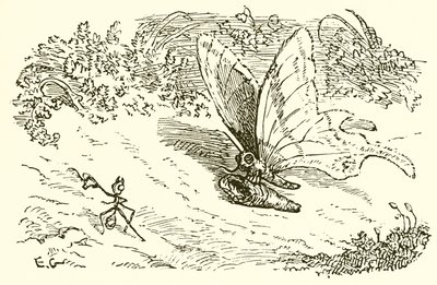 النملة والكريساليس بواسطة Ernest Henry Griset