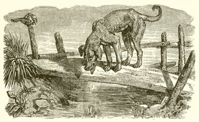 الكلب وظله بواسطة Ernest Henry Griset