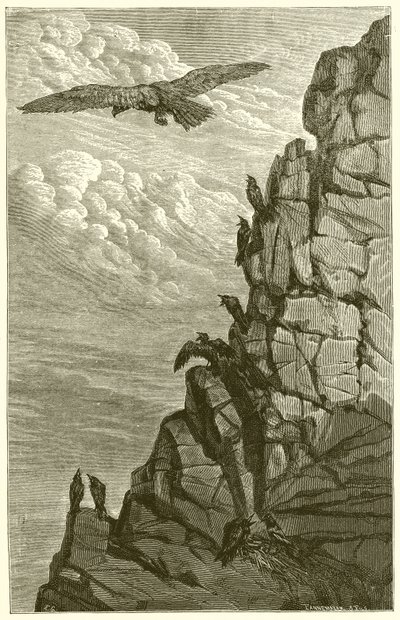 النسر والغراب بواسطة Ernest Henry Griset