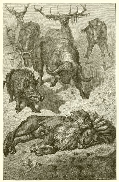 الأسد القديم بواسطة Ernest Henry Griset