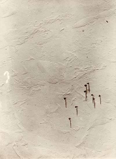 النظر إلى الأسفل من المنطاد عبر الهضبة باتجاه "ديسكفري" (1901). من ألبوم للسير إرنست هنري شاكلتون بعنوان البعثة الوطنية للقطب الجنوبي (1901-1903) بواسطة إرنست هنري شاكلتون