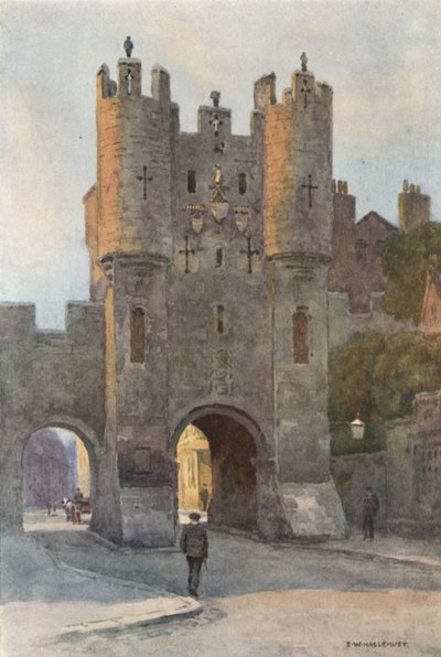 شريط Micklegate (لون ليثو) بواسطة إرنست ويليام هاسلهوست