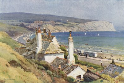الاجتياح الناعم لخليج Swanage (أعضاء ملونون) بواسطة إرنست ويليام هاسلهوست