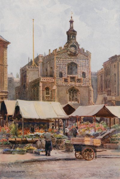 The Market-Place و Guildhall ، نورويتش (لون ليثو) بواسطة إرنست ويليام هاسلهوست
