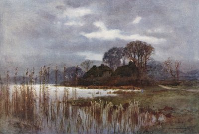 The Mill Pond ، بوليو (لون ليثو) بواسطة إرنست ويليام هاسلهوست