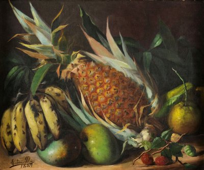 الحياة الساكنة بواسطة إستيفاو روبرتو دا سيلفا