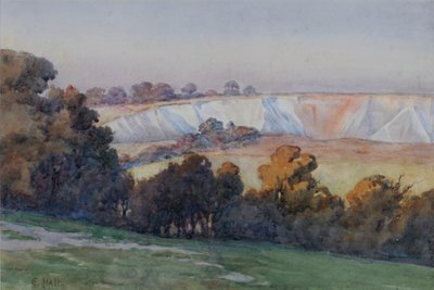 محجر كولسدون من Farthing Downs (مرحاض على ورق) بواسطة Ethel Hall