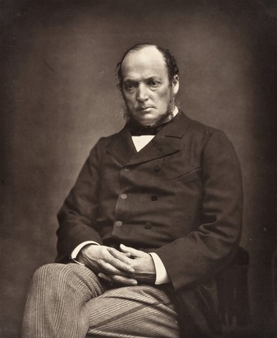 Émile Deshayes de Marcère سياسي فرنسي ، 1828-1918 ، ج. 1876. بواسطة إتيان كارات