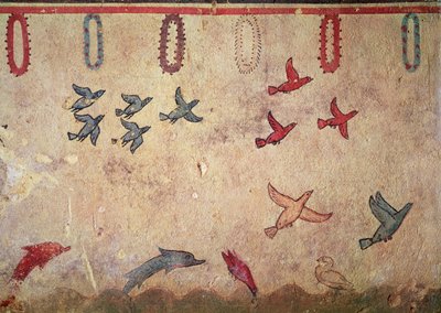 الطيور المائية والدلافين القفز ، من مقبرة الصيد والصيد ، c.520-10 قبل الميلاد (لوحة جدارية) بواسطة إتروسكان
