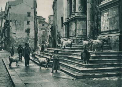 ماعز على درج الكاتدرائية ، باليرمو ، صقلية ، إيطاليا ، 1927 بواسطة يوجين بوبيل
