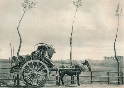حامل النبيذ في كامبانيا ، روما ، إيطاليا ، 1927 بواسطة يوجين بوبيل