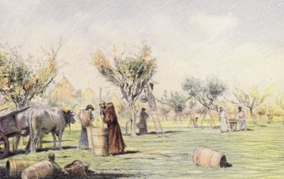  بواسطة يوجين (بعد) برناند