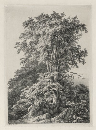 دراسات مرسومة ونقشت بعد الطبيعة: الشاطئ ، Fontainbleau ... ، 1840. بواسطة يوجين بليري