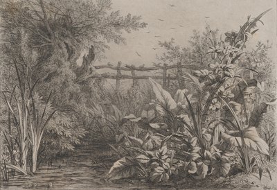 البركة ، 1857. بواسطة يوجين بليري