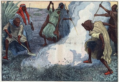 إبادة الجنادب في الجزائر: العرب يحرقونها وسط صيحات وابتلاع. رسم توضيحي لـ Damblans. في "" Le Pelerin "بتاريخ 4 يوليو بواسطة يوجين دامبلانز