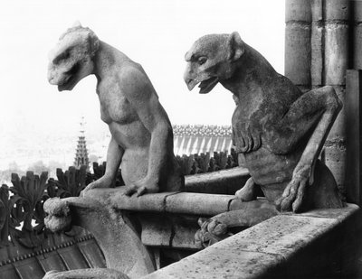 Gargoyles from the balustrade of the Grande Galerie of the west facade, replica of a 12th century original (stone) (b/w photo) بواسطة يوجين إيمانويل فيوليت لو دوك