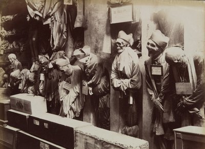 سراديب الموتى ، دير Capuchin ، باليرمو ، كاليفورنيا. 1895. بواسطة Eugenio Interguglielmi