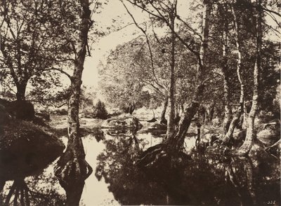 بيل كروا ، 1860. بواسطة يوجين كوفيلير