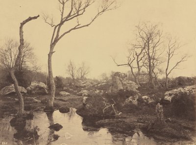 بيل كروا، حوالي عام 1858 (صورة فوتوغرافية) بواسطة يوجين كوفيلير