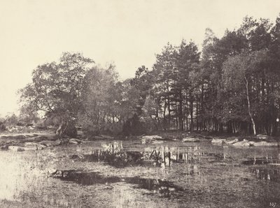 مارش في بيات بيل كروا بلاتو ، ج. 1863. بواسطة يوجين كوفيلير