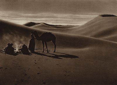 مساء في الصحراء (صورة بالأبيض والأسود) بواسطة المصور الأوروبي