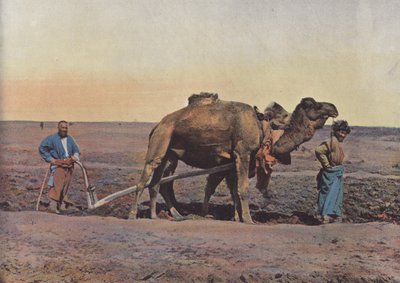 Laboureur Tekes بواسطة المصور الأوروبي