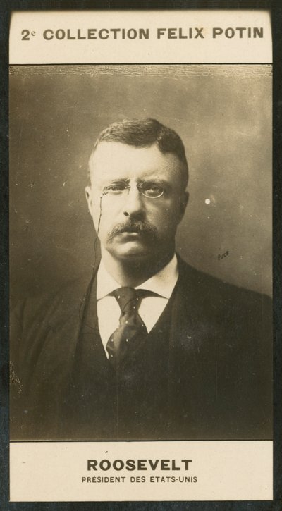 Theodore Roosevelt, President Des Etats-Unis بواسطة المصور الأوروبي