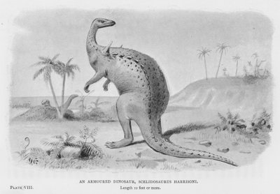 ديناصور مدرع ، Scelidosaurus Harrisoni (ليثو) بواسطة المدرسة الأوروبية