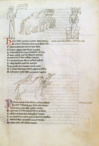 Bestiary: الحصان (حبر على الرق) بواسطة المدرسة الأوروبية