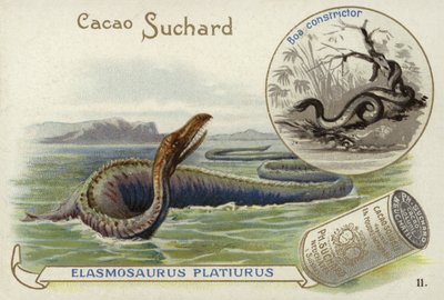 Elasmosaurus وضيق أفعى بواسطة المدرسة الأوروبية