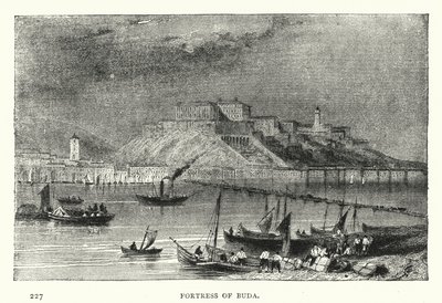 Fortress of Buda (engraving) بواسطة المدرسة الأوروبية