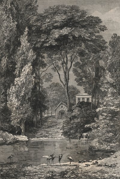 La Vallee Suisse Au Jardin Des Plantes De Paris (engraving) بواسطة المدرسة الأوروبية