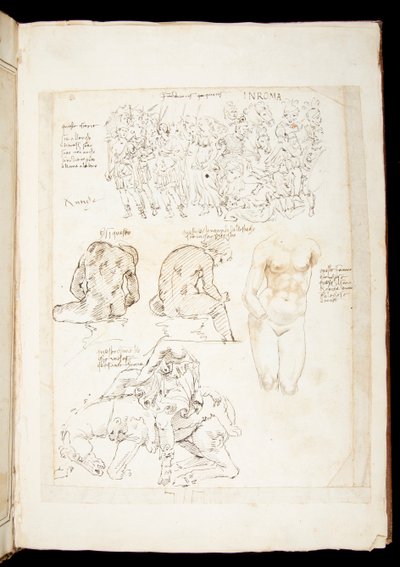 Ms 701 fl.34v ، رسم يتضمن منظرًا للسبيناريو من الخلف ، أواخر القرن الخامس عشر (قلم حبر وحبر على ورق) بواسطة المدرسة الأوروبية