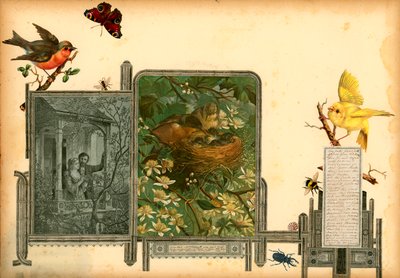 صفحة من المجلد الأول من ساملسوريوم (مادة مطبوعة) بواسطة المدرسة الأوروبية