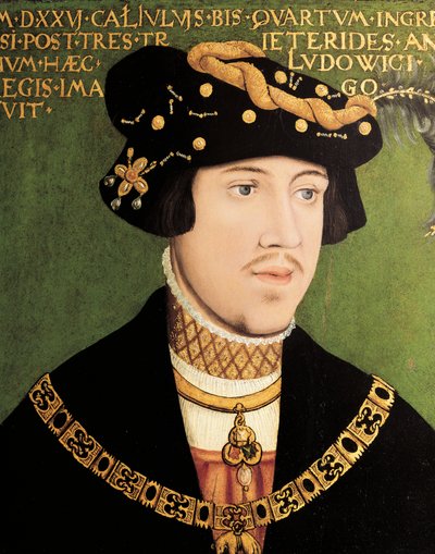 Portrait of Louis II of Hungary, King of Hungary, Bohemia and Croatia (oil on panel) بواسطة المدرسة الأوروبية