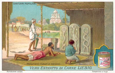 آثار الأفعى في الهند (Chromolitho) بواسطة المدرسة الأوروبية