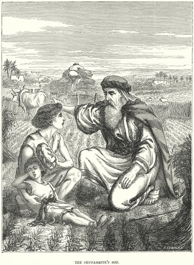 ابن الشوناميت (نقش) بواسطة المدرسة الأوروبية