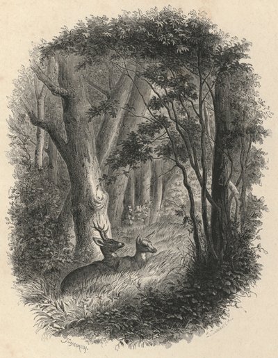Un coin de la foret de Fontainebleau (engraving) بواسطة المدرسة الأوروبية