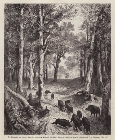Wild boar on the Lorenzer Berg in the Imperial Park in Vienna, Austria (engraving) بواسطة المدرسة الأوروبية