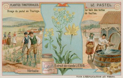 Woad and Harvest in Thuringia في ألمانيا بواسطة المدرسة الأوروبية