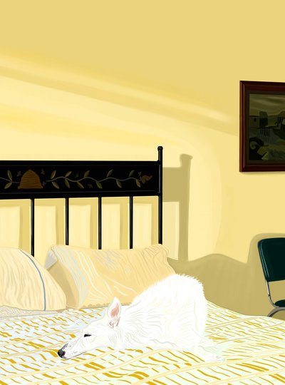  بواسطة إيفان سكلار