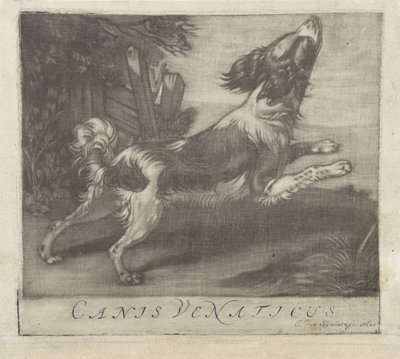 قفز الكلب كانيس فيناتيكوس (العنوان على الكائن) بواسطة إيفرت فان سوينين