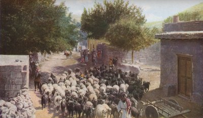 فلسطين ، ج 1930 بواسطة إيوينج جالواي