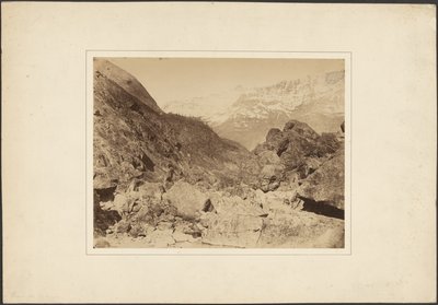 [فوضى دي جافارني] بواسطة فارنهام ماكسويل ليت