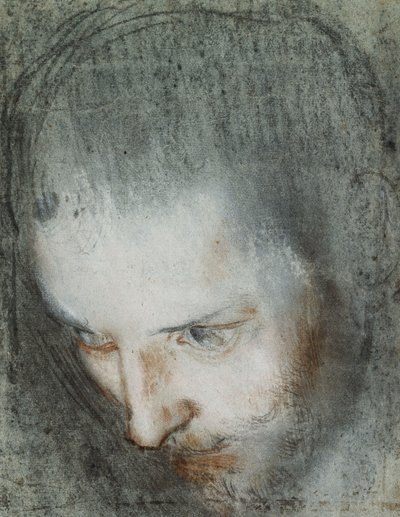 رأس القديس فرنسيس يتطلع إلى اليسار ، بواسطة Federico Fiori Barocci أو Baroccio