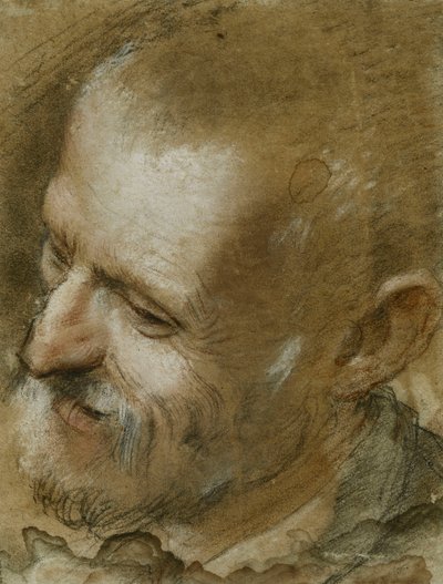 دراسة رأس رجل ملتح تحول إلى اليسار ، 1590 بواسطة Federico Fiori Barocci أو Baroccio